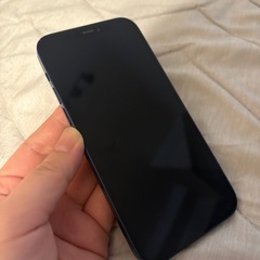 Apple iPhone12の画像