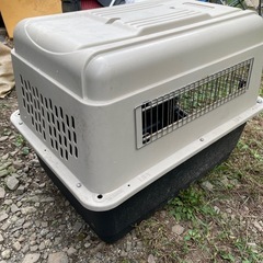 (取引中)犬用ゲージの画像