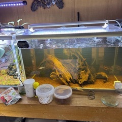 ブラックウォーター2LとPSBの画像