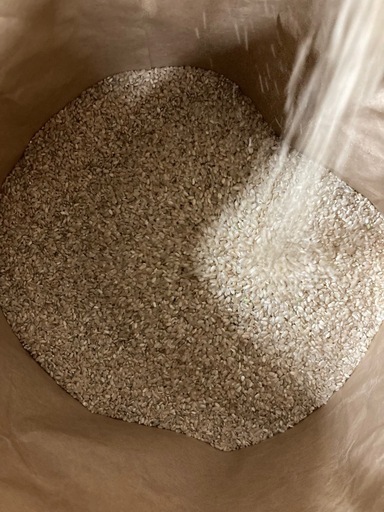 【50本全て完売です】令和７年度産　コシヒカリ　くず米　30キロ