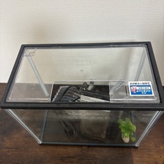 水槽セット の画像