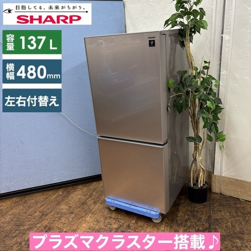 I625 ? プラズマクラスター搭載！ SHARP 冷蔵庫 (137L) ⭐ 動作確認済 ⭐ クリーニング済