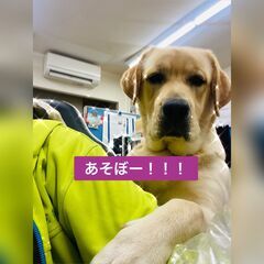 電気工事士の現場担未経験者　大募集★の画像