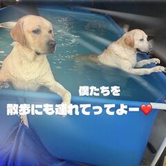 電気工事士の現場担未経験者　大募集★の画像