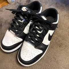 イージーフォーム&NIKEだわくダンクの画像