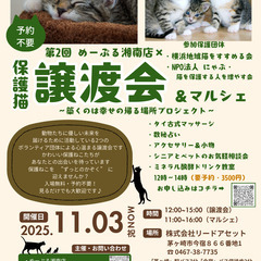 第2回 保護猫譲渡会＆マルシェ～築くのは幸せの帰る場所プロ…