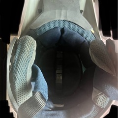 アライの画像