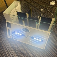 ラクテリア ホワイト GEX(ジェックス) 6部屋 ベタの画像