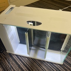ラクテリア ホワイト GEX(ジェックス) 6部屋 ベタの画像