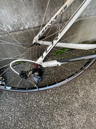 ジャイアント　　giant TCR0