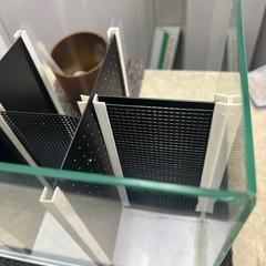 ラクテリア ホワイト GEX(ジェックス) 6部屋 ベタの画像