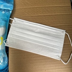 大人用　使い捨てマスクの画像
