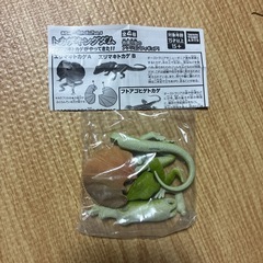 トカゲキングダム エリマキトカゲA ④の画像
