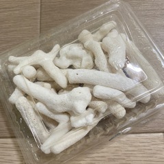 ヒトデ、貝がらのセットの画像