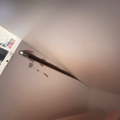 お洒落な棚　ほわホワイトの画像