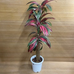 e7【約150cm　造花　観葉植物】鉢入り フェイクグリーンの画像