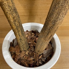 e7【約150cm　造花　観葉植物】鉢入り フェイクグリーンの画像