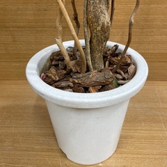 e9【約160cm　造花 観葉植物】鉢入り　フェイクグリーンの画像