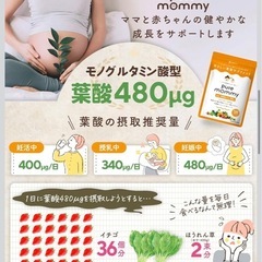 【新品】ピュアマミー サプリ 葉酸480μg 無添加 妊活 妊婦 授乳期用 カルシウム配合 妊婦さんに優しい の画像