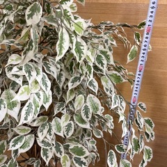 e12【約180cm　造花 観葉植物】鉢入り　フェイクグリーンの画像