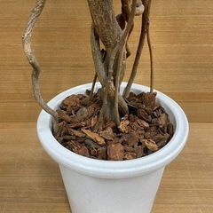 e12【約180cm　造花 観葉植物】鉢入り　フェイクグリーンの画像