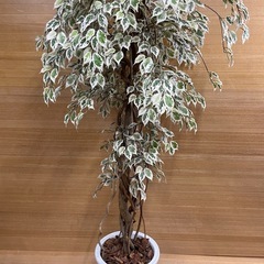 e12【約180cm　造花 観葉植物】鉢入り　フェイクグリーンの画像