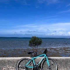 半年愛用してた自転車の画像