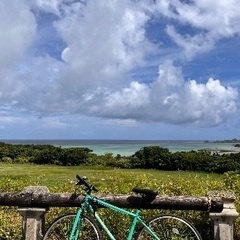 半年愛用してた自転車の画像