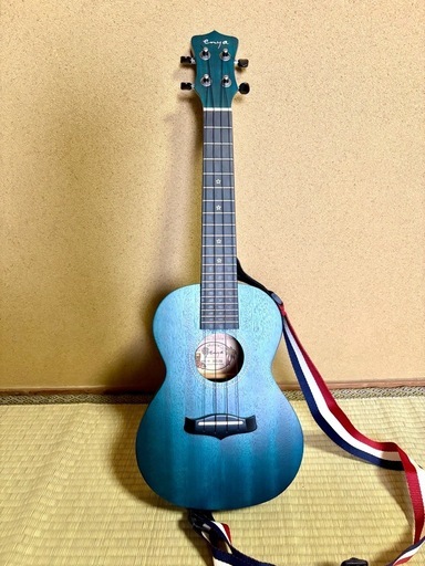 値段交渉⭕️
エンヤ　コンサートウクレレ