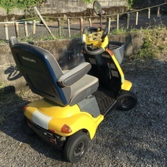 スズキセニアカ-の画像