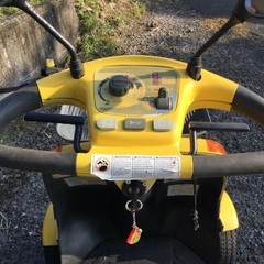 スズキセニアカ-の画像