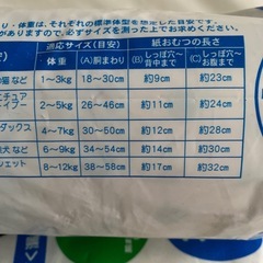 犬用紙おむつ2個の画像