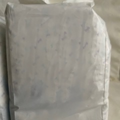 犬用オムツの画像