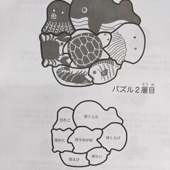 2層パズルフィッシングの画像