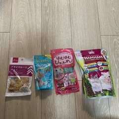 ハムスター 飼育セットの画像