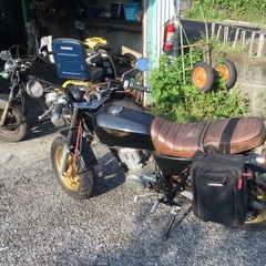 ■ホンダエイブの画像
