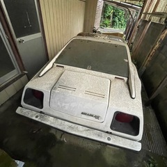 ブラッドレイGT2 1976？の画像