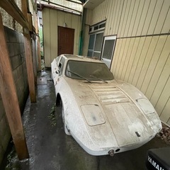 ブラッドレイGT2 1976？の画像