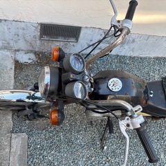 スズキ　マメタンの画像