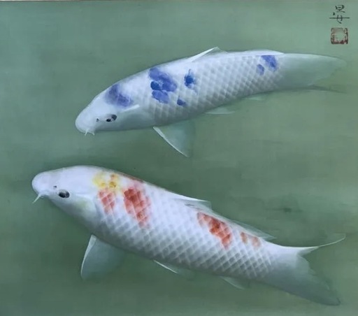 ◎超極上！鯉画の有名掛軸◎真筆 沼田晏広 『鯉』肉筆 共箱 極美品です