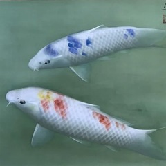 ◎超極上！鯉画の有名掛軸◎真筆 沼田晏広 『鯉』肉筆 共箱 極美品ですの画像