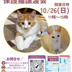 つるみ・猫のカギしっぽ譲渡会１０月２６日（日）　 JR鶴見…