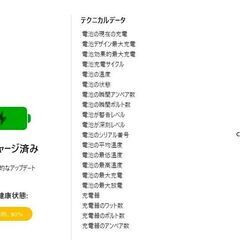 Ipad 第9世代 Wi-Fi ２５６GB silverバッテリー８０％の画像