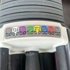 【コンテナ保管】可変ダンベル ブロック ダンベル 41kg ×2 筋トレ道具 筋トレ🚚自社配送時💳代引き可🚚(現金、クレジット、スマホ決済対応)の画像