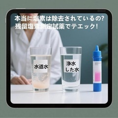 交換用❣️浄水カートリッジ【JF-21】 3個入 JIS規格日本検査済 塩素除去の画像