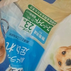 中型犬　折りたたみ可能のペットカート　の画像