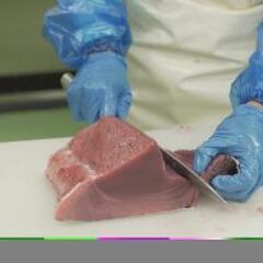 親も知っている"地元企業で、世界に誇る魚を扱う仕事。故郷で、確かなキャリアを。の画像