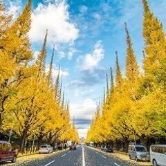 37～52才 東京散歩♪ ～1人参加～【渋谷】💖