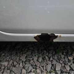 タント　車検なし　エンスタ　の画像