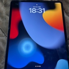 iPadPro13いんちインチの画像